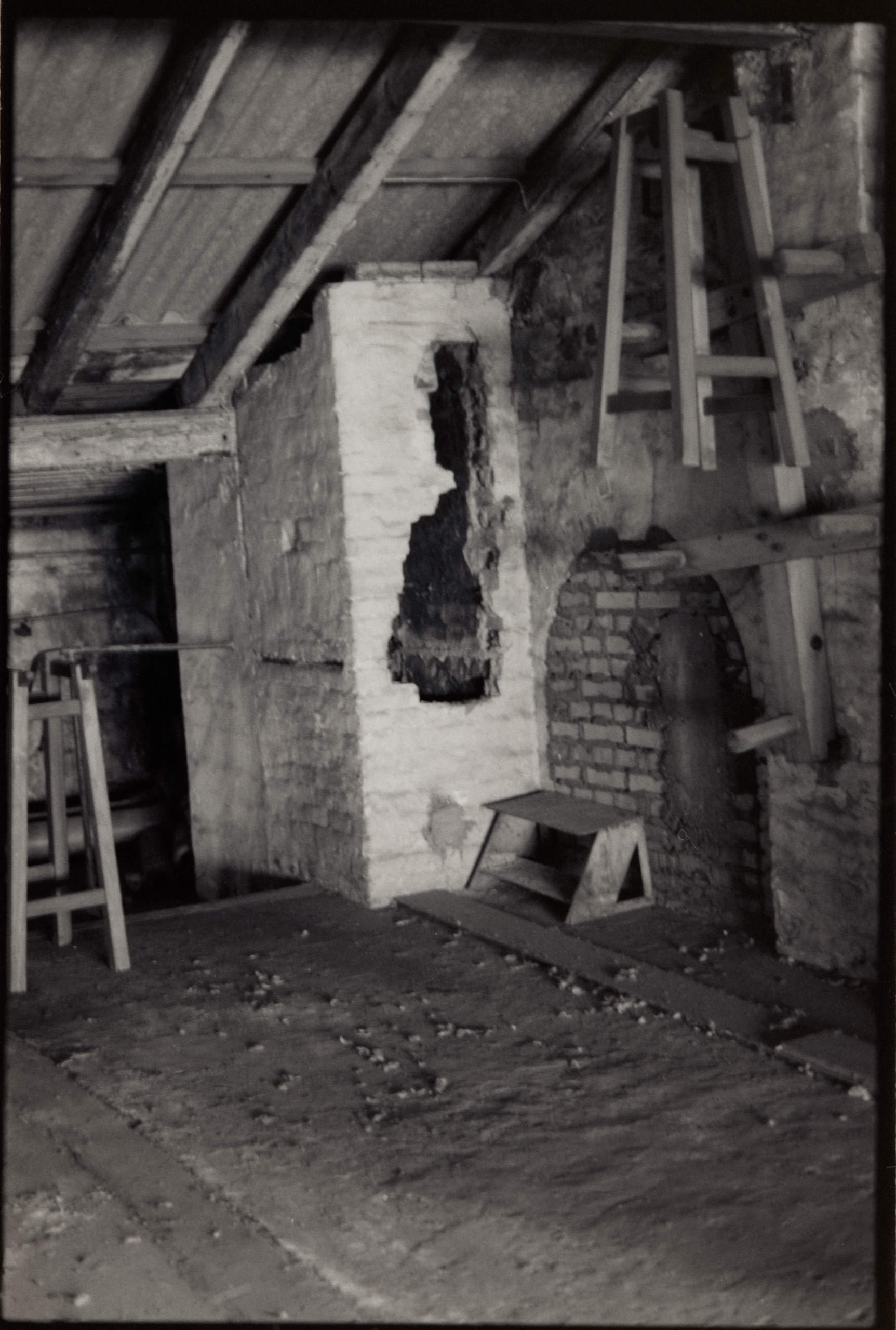 AHP FilmScan 240731 0719